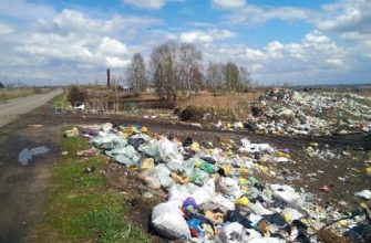 Экология Алтайского края
